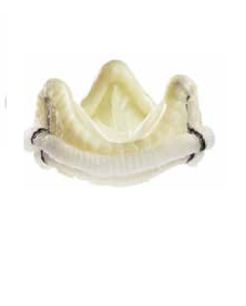 Аортальний клапан Epic Plus